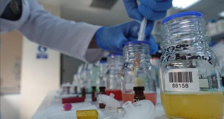 kimya sektoru ihracati ekim ayinda yuzde 8 artti 2XVnnubM.jpg