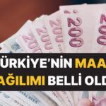 turkiyede-calisanlarin-ve-emeklilerin-maas-dagilimi-belli-oldu-p9amm7B9.jpg