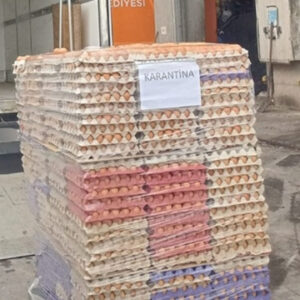 42 Bin Adet Sahte Organik Yumurtaya El Konuldu