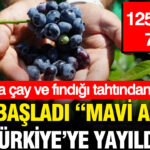 Gram gram servet 125 grami 70 tl olan mavi altin turkiyeyi sardi HZYTj2Hp
