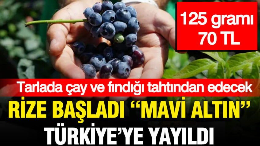 Gram gram servet 125 grami 70 tl olan mavi altin turkiyeyi sardi HZYTj2Hp